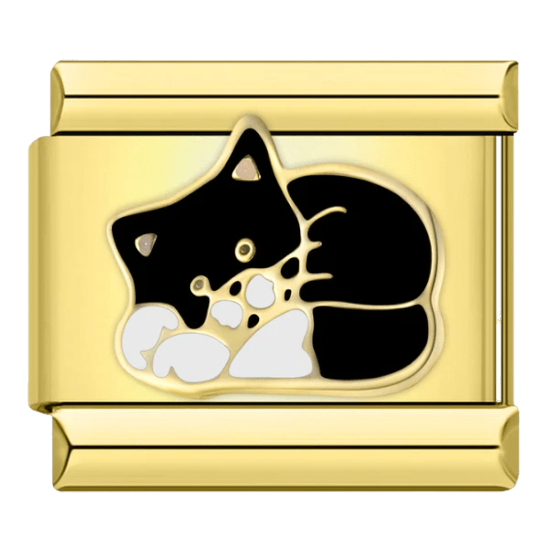 Katt