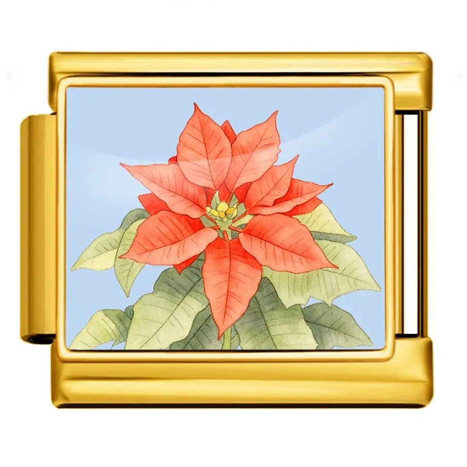 Poinsettia