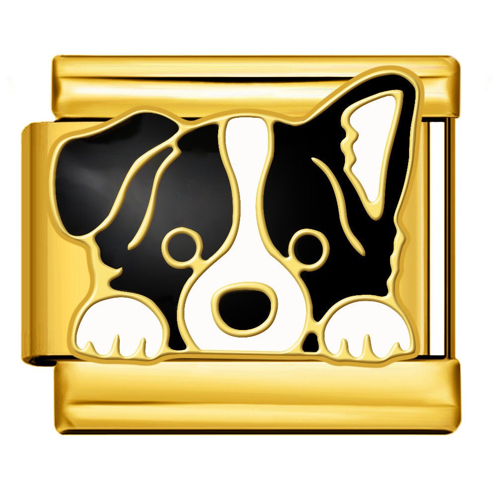Hund