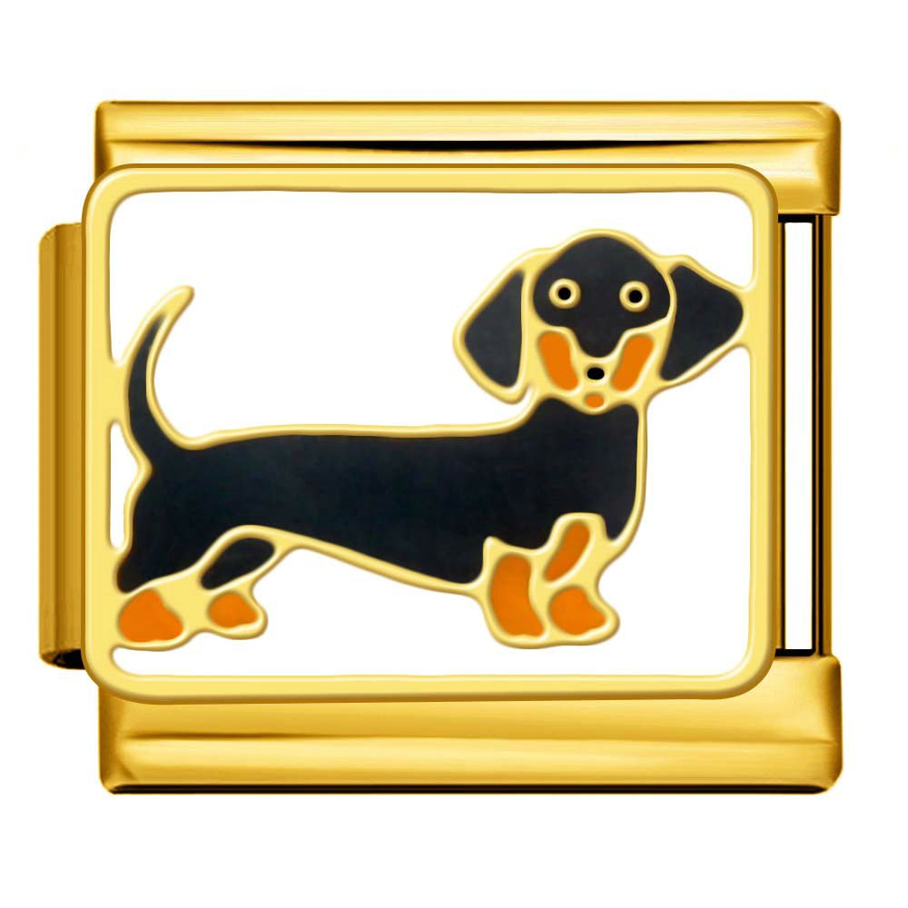 Dachs