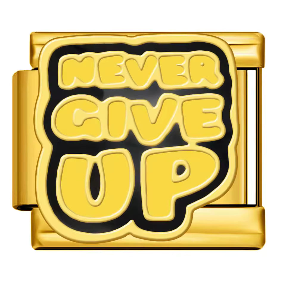 Never Give Up