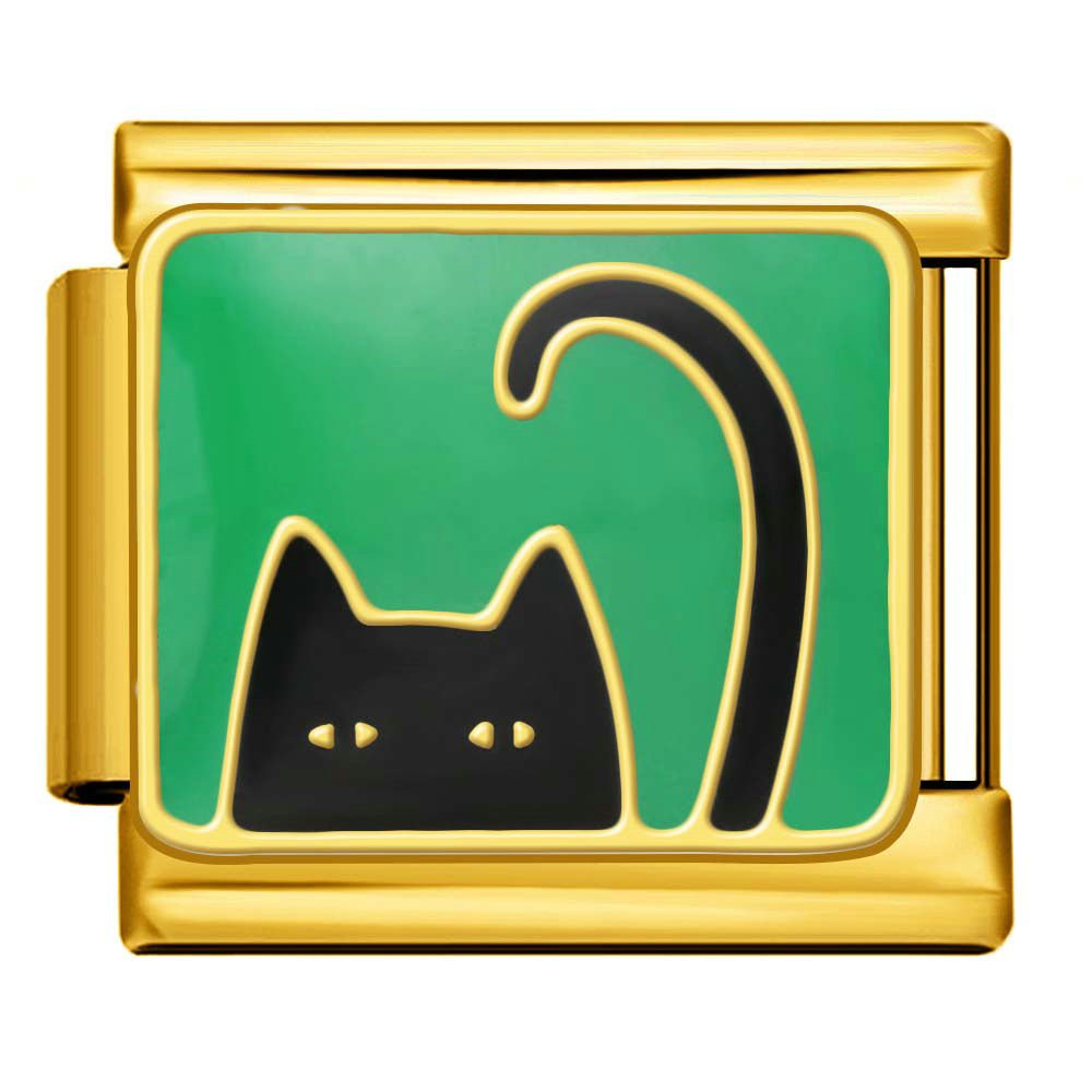 Nysgjerrig Katt