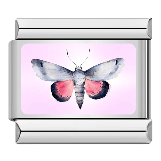 Papillon