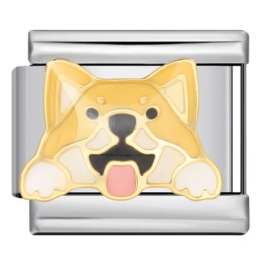 Shiba Inu