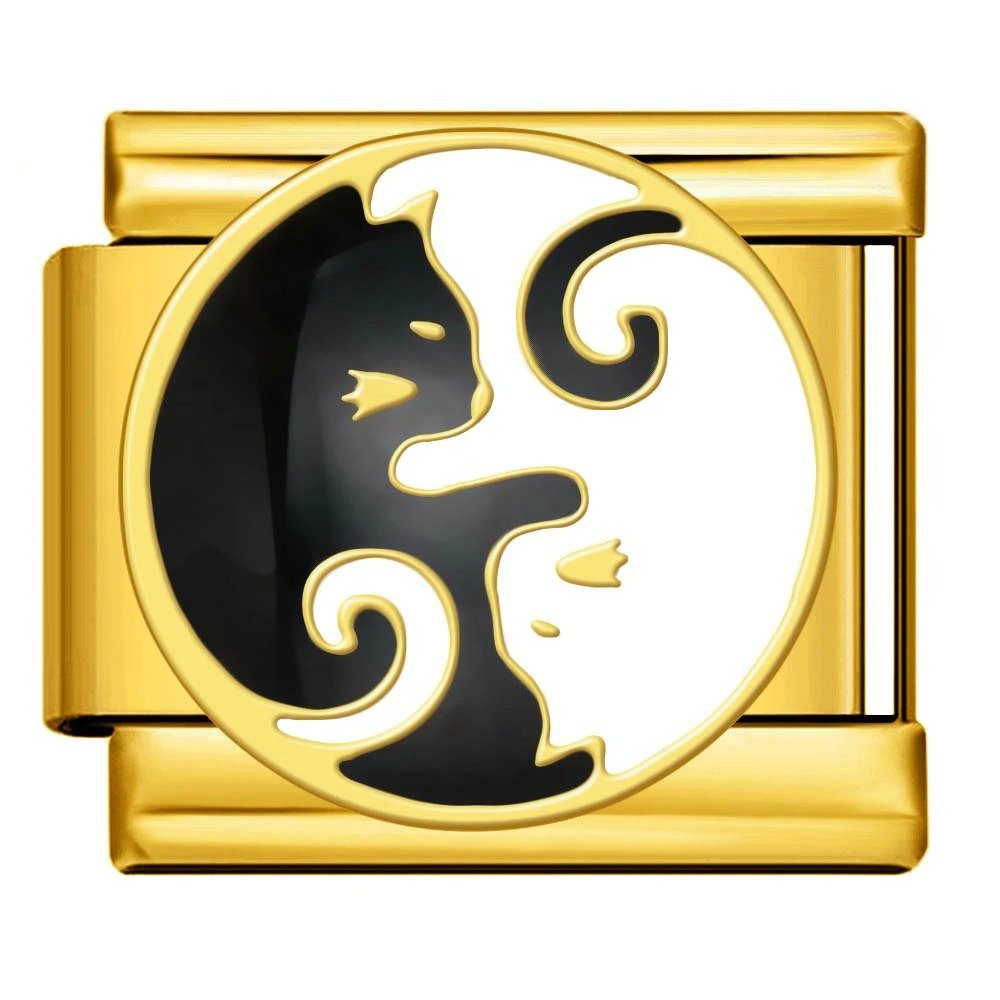 Yin Yang Katter