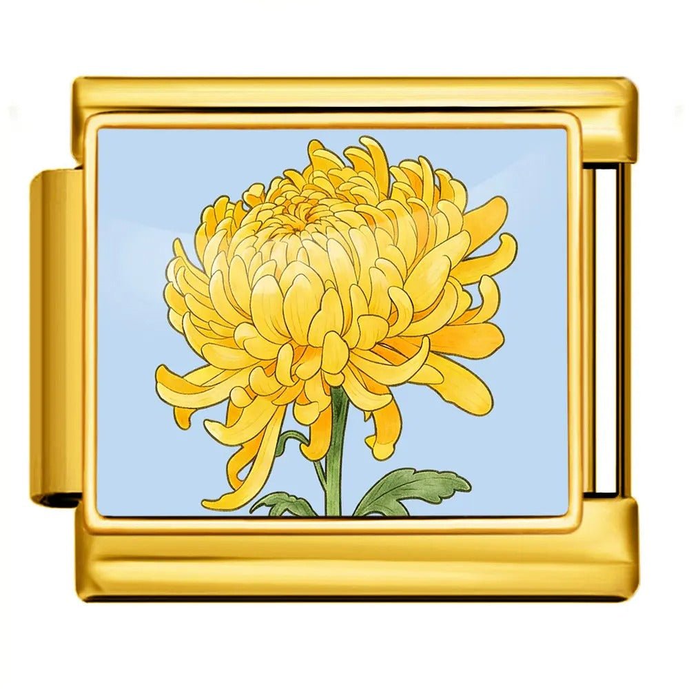 Krysantemum