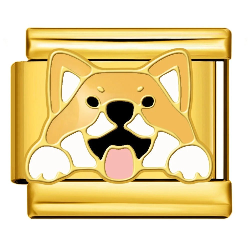 Corgi