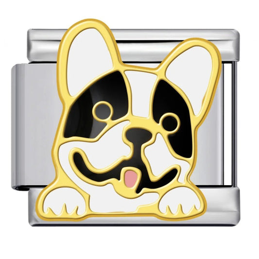 Bouledogue français